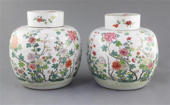 A pair of Chinese famille rose globular jars and covers, late 19th century, height 21.5cm, slight firing faults